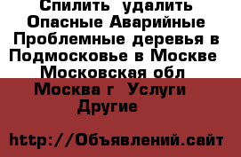 Спилить, удалить Опасные Аварийные Проблемные деревья в Подмосковье в Москве - Московская обл., Москва г. Услуги » Другие   